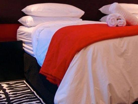 21 Kingfisher Guesthouse جوهانسبورغ المظهر الخارجي الصورة